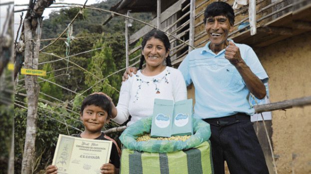el_mejor_cafe_del_mundo_crece_en_las_nubes_de_puno-623x350