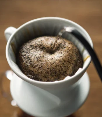 Filtros kalita wave 102