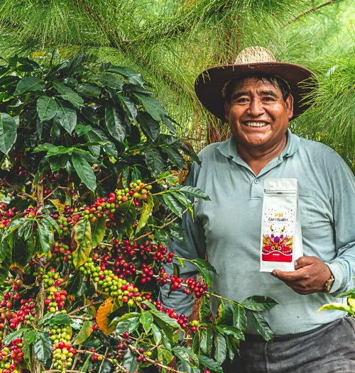Roberto Vilca, productor de Café Candelaria